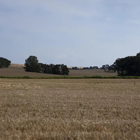 לינה וארוחת בוקר Quistgaarden