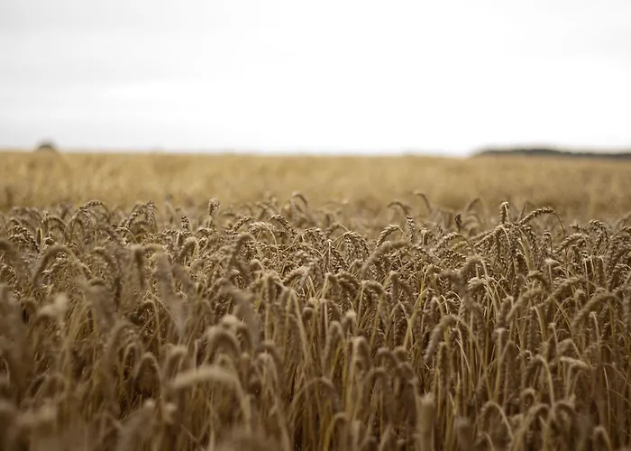 Quistgaarden Bed & Breakfast Spjellerup